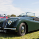 Illustration for article titled These Are The Unforgettable Sights Of The 2019 Goodwood Revival